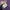 Japanese brand Y2K Fairy T-shirt Wanita purple photo 8