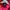 Dickies Gorpcore Puffer jacket Pria red photo 3