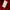 Dickies Gorpcore Puffer jacket Pria red photo 7