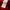 Dickies Gorpcore Puffer jacket Pria red photo 8