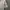 C.P. Company Streetwear Casual Polo shirt Pria gray photo 4