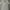 C.P. Company Streetwear Casual Polo shirt Pria gray photo 2