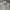 C.P. Company Streetwear Casual Polo shirt Pria gray photo 1