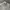 C.P. Company Streetwear Casual Polo Shirt Pria Gray