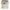 Nike Streetwear Sportswear T-shirt Pria white photo 1
