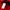 Patagonia Streetwear Casual Casual pants Pria red photo 5
