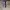 Nike Streetwear Sportswear Jersey Pria gray photo 3