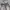 Streetwear Y2K Jeans Pria brown gray photo 5