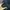 NEPA Streetwear Casual Puffer jacket Pria navy black photo 5