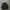 Dickies Streetwear Sportswear Puffer jacket Pria black photo 1