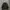 Dickies Streetwear Sportswear Puffer Jacket Pria Black