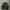 Dickies Streetwear Sportswear Puffer jacket Pria black photo 2