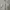 Minimalist Crop top Wanita white photo 4