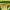 Nike Streetwear Sportswear Jersey Pria green yellow photo 4
