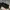 Clarks Luxury Casual Casual shoe Pria black photo 2