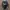 Nike Y2K Sportswear Jersey Pria purple black photo 1