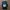 Y2K Sportswear Jersey Pria black photo 2