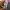 Y2K Lolita Cardigan Wanita pink photo 4