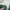 Reebok Y2K Sportswear Jersey Pria white green photo 4