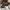 Charles And Keith Luxury Minimalist Bags & Purse Wanita Gold Black