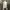 LANVIN Vintage Luxury Blouse Wanita white photo 5