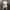LANVIN Vintage Luxury Blouse Wanita white photo 1