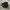 Nike Gorpcore Futurist Sneakers Pria black photo 2
