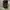 Nike Gorpcore Futurist Sneakers Pria black photo 1