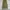 ZARA Vintage Y2K Formal pants Pria green photo 3