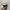 Japanese brand Y2K Glass Pria white red photo 2