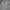 Casual Polo shirt Pria gray photo 1