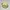 Supreme Streetwear Skater Hat Pria blue yellow photo 2