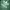 Adidas Skater Sweater Pria green photo 2