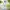 Adidas Skater Sweater Pria green photo 8