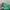Elstinko Casual Hat Kids green photo 4