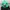 Elstinko Casual Hat Kids green photo 2