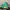Elstinko Casual Hat Kids green photo 3