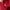 Stussy Vintage Sweater Pria red photo 3