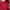 Stussy Vintage Sweater Pria red photo 2