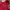 Stussy Vintage Sweater Pria Red