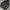 Carhartt Luxury Hoody Pria white brown photo 1
