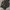 Carhartt Luxury Hoody Pria white brown photo 6
