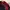 Elstinko Casual Hat Kids red photo 7