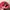 Elstinko Casual Hat Kids red photo 5