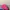 MLB Casual Hat Kids pink blue photo 3