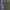 Casual Casual pants Pria green photo 5