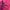 Gorpcore Windbreaker Wanita pink photo 8