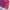 Gorpcore Windbreaker Wanita pink photo 6
