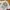 Streetwear Minimalist Polo shirt Pria multicolor photo 5