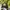 Santa Cruz Skateboards Streetwear Skater Hat Pria black photo 1